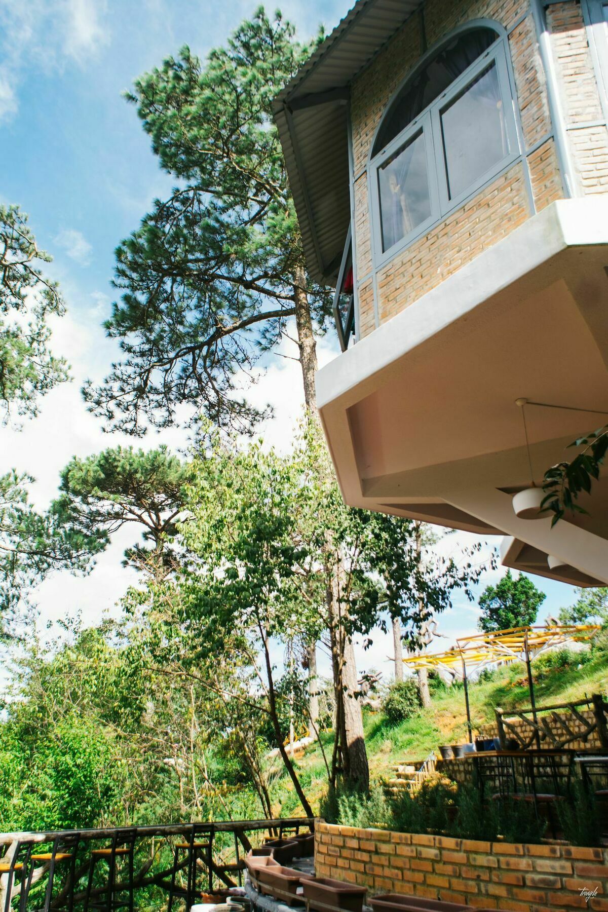 Maple Hostel Далат Экстерьер фото